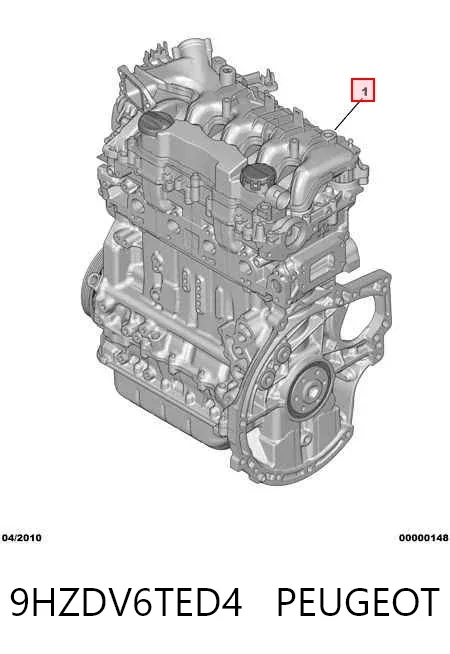 Motor montado 9HZDV6TED4 Peugeot/Citroen