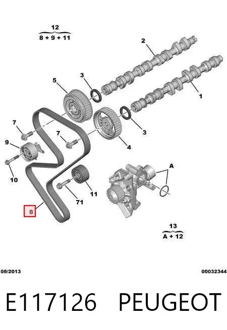 Correia do mecanismo de distribuição de gás E117126 Peugeot/Citroen