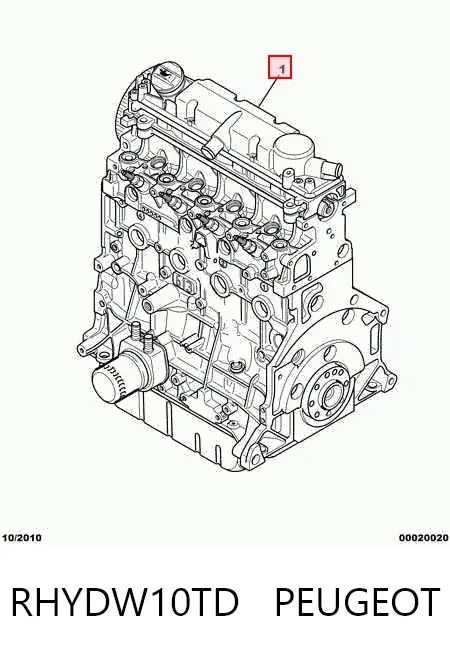 Motor montado RHYDW10TD Peugeot/Citroen