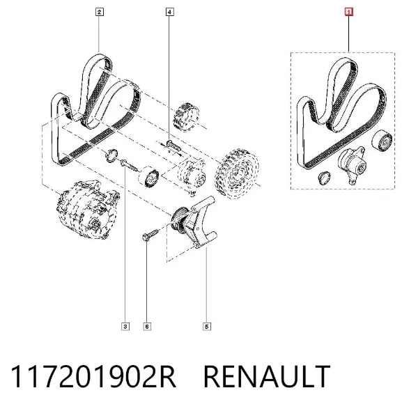 Correia dos conjuntos de transmissão, kit 117201902R Renault (RVI)