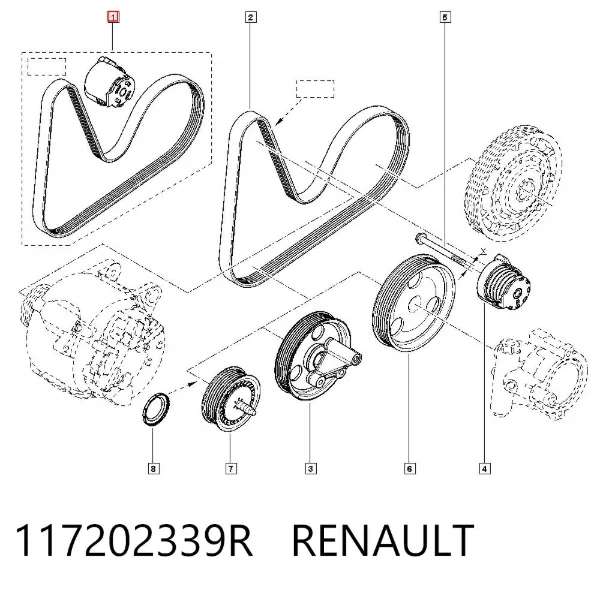 Correia dos conjuntos de transmissão, kit 117202339R Renault (RVI)