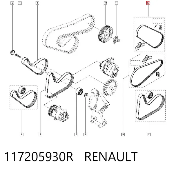 Correia dos conjuntos de transmissão 117205930R Renault (RVI)