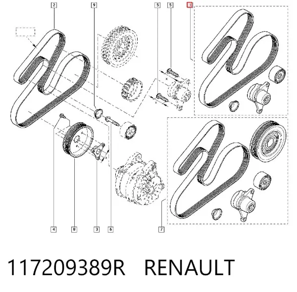 Correia dos conjuntos de transmissão 117209389R Renault (RVI)