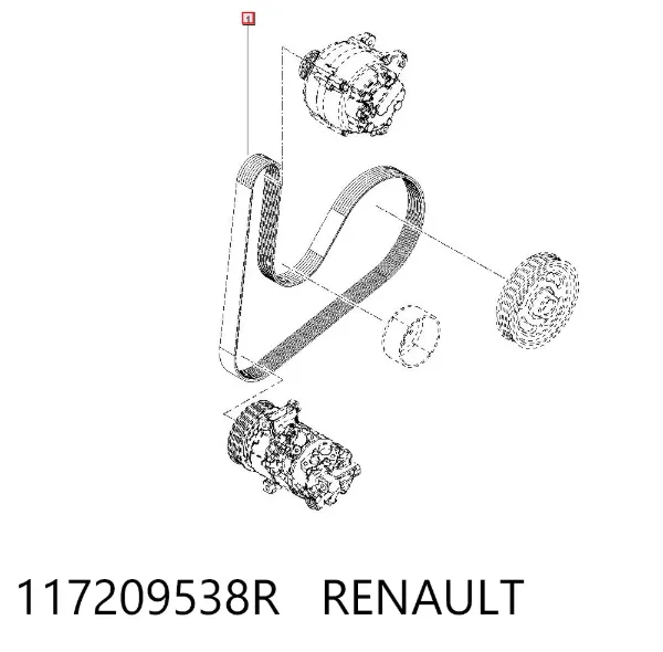 Correia dos conjuntos de transmissão 117209538R Renault (RVI)