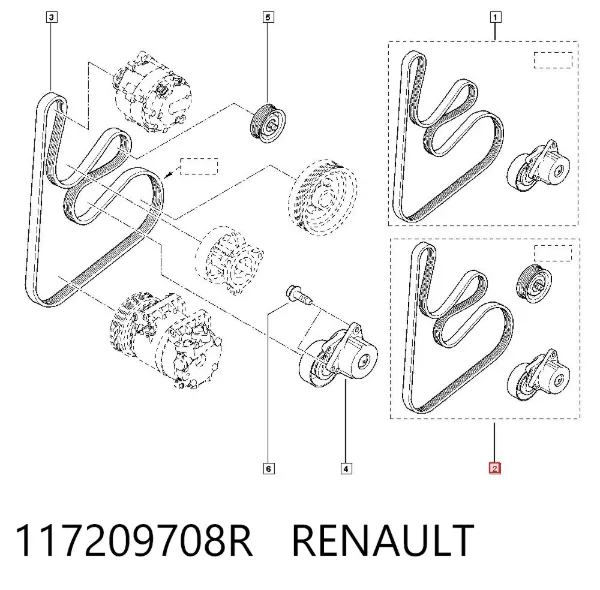 Correia dos conjuntos de transmissão, kit 117209708R Renault (RVI)
