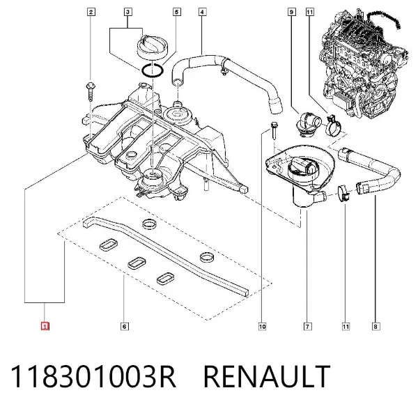 Tubo coletor de admissão 118301003R Renault (RVI)
