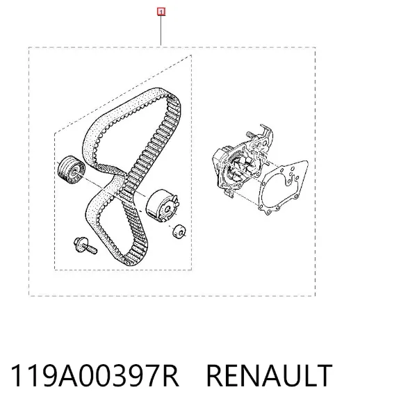Correia do mecanismo de distribuição de gás, kit 119A00397R Renault (RVI)