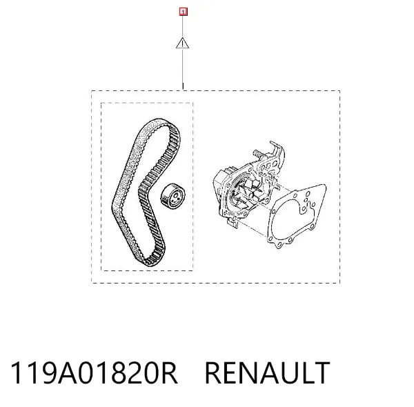 Correia do mecanismo de distribuição de gás, kit 119A01820R Renault (RVI)