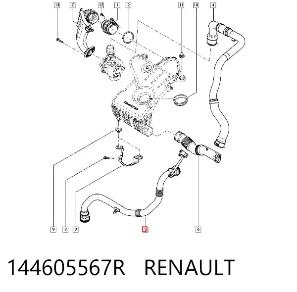 Mangueira (cano derivado) de intercooler 144605567R Renault (RVI)