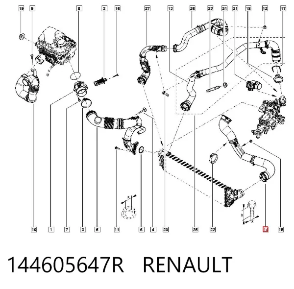 Mangueira (cano derivado) de intercooler 144605647R Renault (RVI)