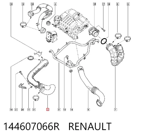 Mangueira (cano derivado) de intercooler 144607066R Renault (RVI)