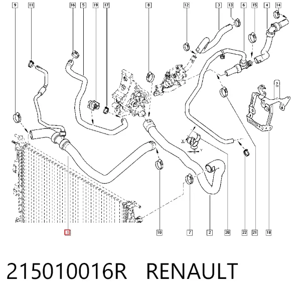 Mangueira (cano derivado) do radiador de esfriamento superior 215010016R Renault (RVI)