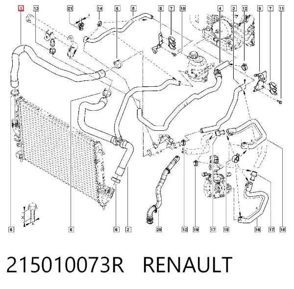 Mangueira (cano derivado) do radiador de esfriamento superior 215010073R Renault (RVI)