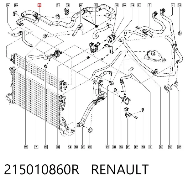 Mangueira (cano derivado) do radiador de esfriamento superior 215010860R Renault (RVI)