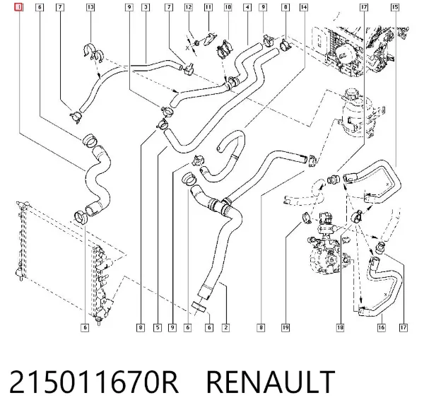 Mangueira (cano derivado) do radiador de esfriamento superior 215011670R Renault (RVI)
