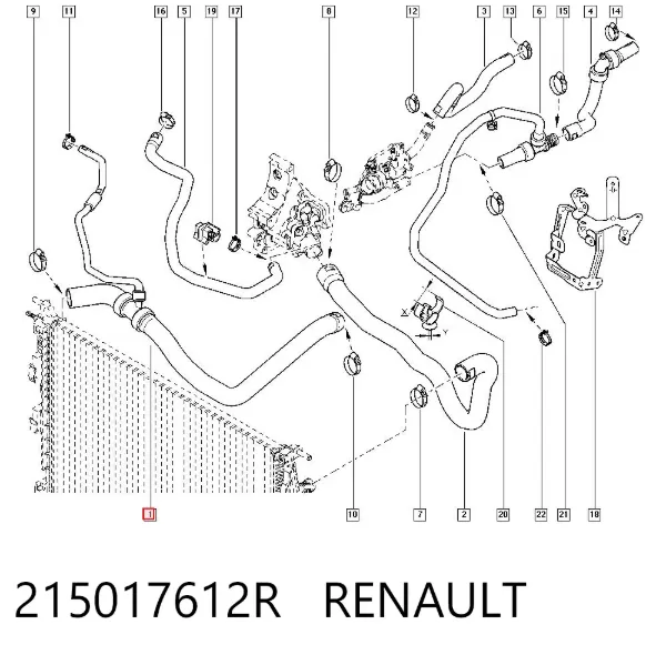 Mangueira (cano derivado) do radiador de esfriamento superior 215017612R Renault (RVI)