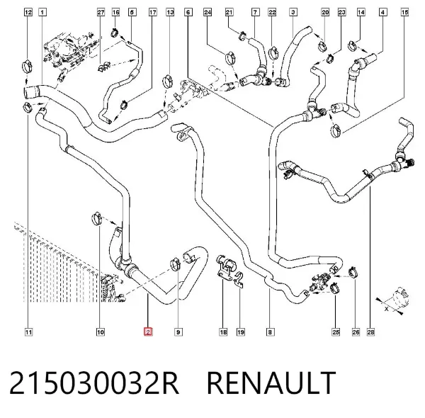 Mangueira (cano derivado) do sistema de esfriamento 215030032R Renault (RVI)