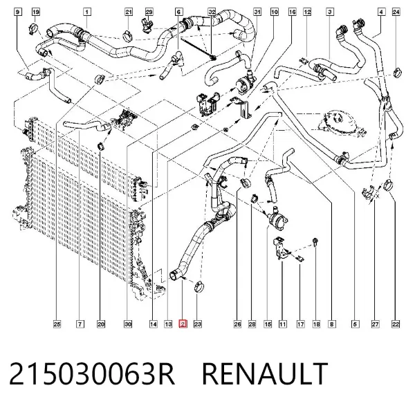Mangueira (cano derivado) inferior do radiador de esfriamento 215030063R Renault (RVI)