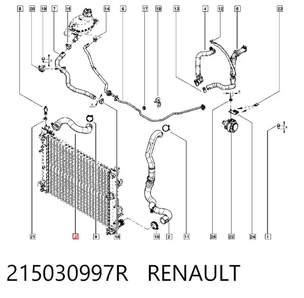 Mangueira (cano derivado) do radiador de esfriamento superior 215030997R Renault (RVI)