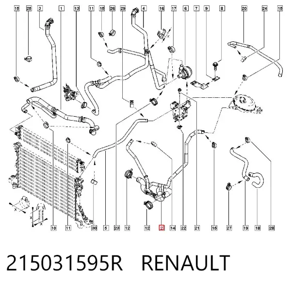 Mangueira (cano derivado) inferior do radiador de esfriamento 215031595R Renault (RVI)