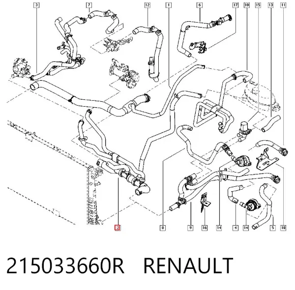 Mangueira (cano derivado) inferior do radiador de esfriamento 215033660R Renault (RVI)
