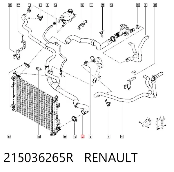 Mangueira (cano derivado) inferior do radiador de esfriamento 215036265R Renault (RVI)