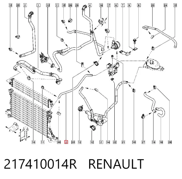 Mangueira (cano derivado) do sistema de esfriamento 217410014R Renault (RVI)