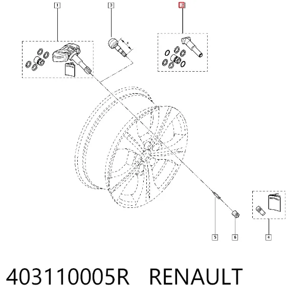  403110005R Renault (RVI)
