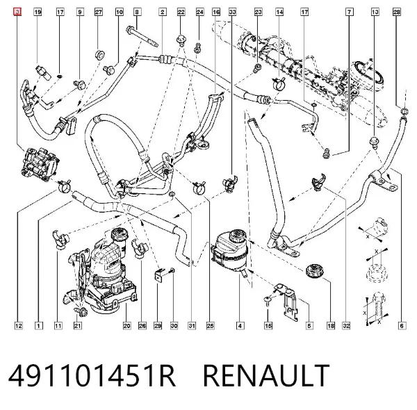 Bomba da Direção hidrâulica assistida 491101451R Renault (RVI)