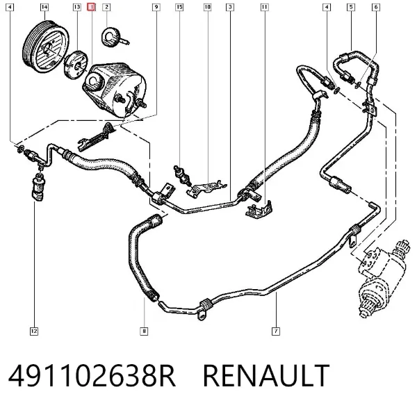 Bomba da Direção hidrâulica assistida 491102638R Renault (RVI)