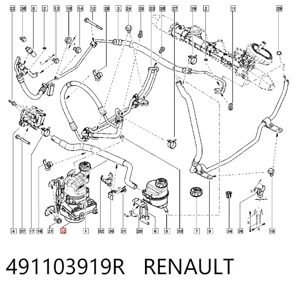 Bomba da Direção hidrâulica assistida 491103919R Renault (RVI)