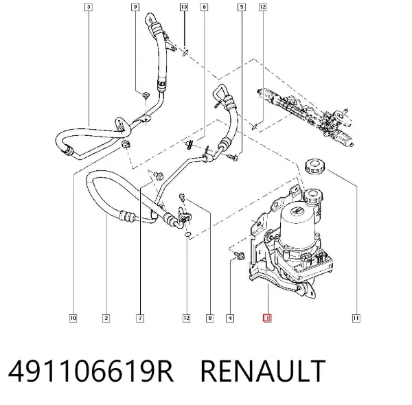 Bomba da Direção hidrâulica assistida 491106619R Renault (RVI)