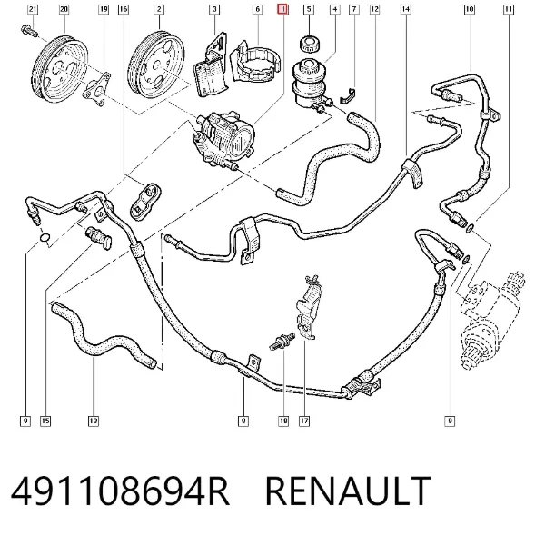 Bomba da Direção hidrâulica assistida 491108694R Renault (RVI)