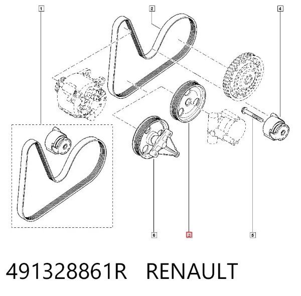 Polia de bomba da Direção hidrâulica assistida 491328861R Renault (RVI)