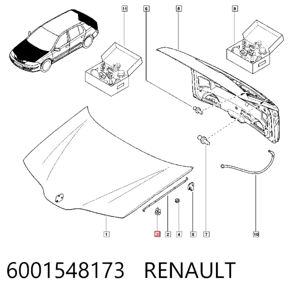 Prendedor de tubo de combustível 6001548173 Renault (RVI)