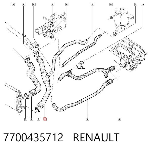 Mangueira (cano derivado) inferior do radiador de esfriamento 7700435712 Renault (RVI)