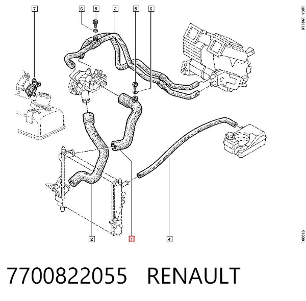 Mangueira (cano derivado) do radiador de esfriamento superior 7700822055 Renault (RVI)