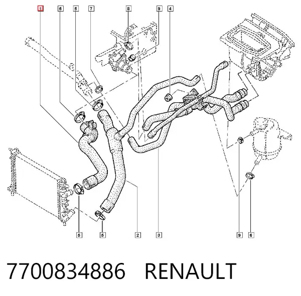 Mangueira (cano derivado) do radiador de esfriamento superior 7700834886 Renault (RVI)
