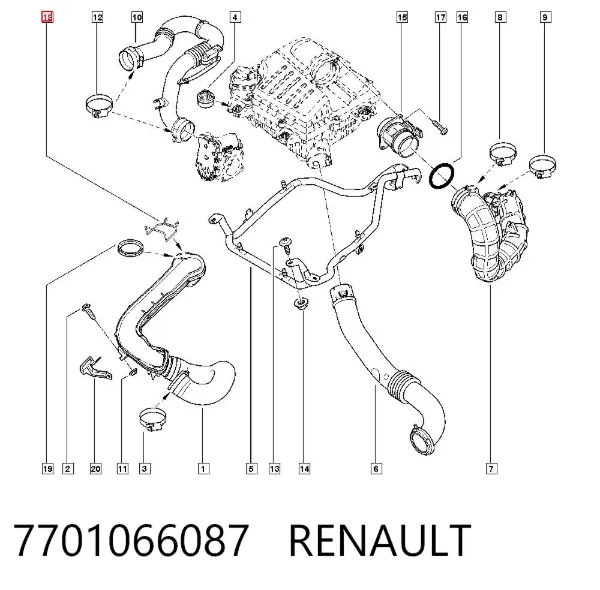 Braçadeira de cano derivado de intercooler 7701066087 Renault (RVI)