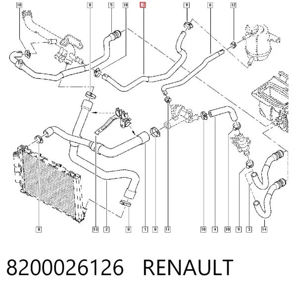Mangueira (cano derivado) do sistema de esfriamento 8200026126 Renault (RVI)