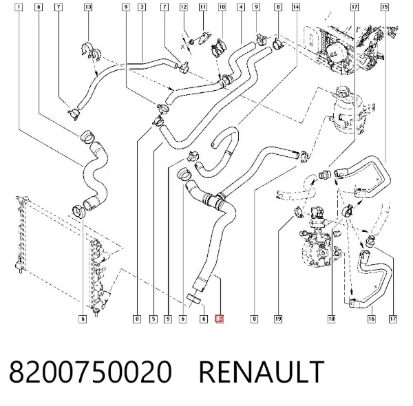 Mangueira (cano derivado) inferior do radiador de esfriamento 8200750020 Renault (RVI)