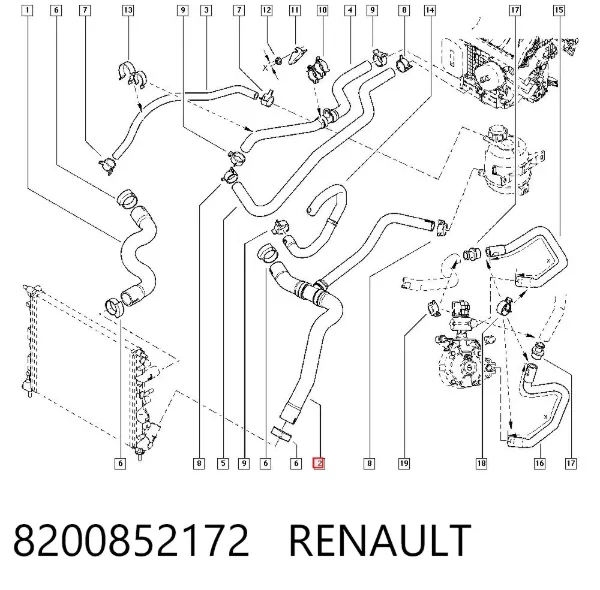 Mangueira (cano derivado) inferior do radiador de esfriamento 8200852172 Renault (RVI)