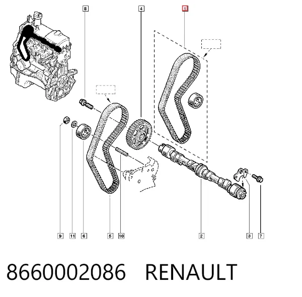 Correia do mecanismo de distribuição de gás, kit 8660002086 Renault (RVI)