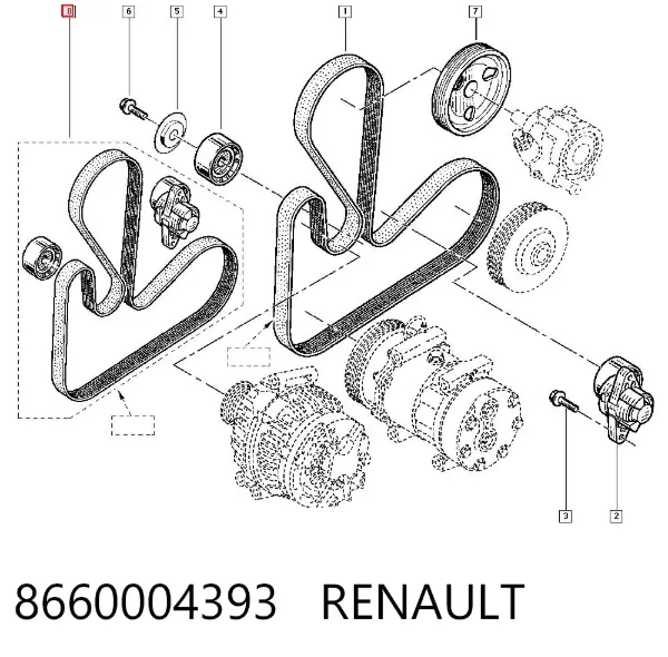 Correia dos conjuntos de transmissão, kit 8660004393 Renault (RVI)