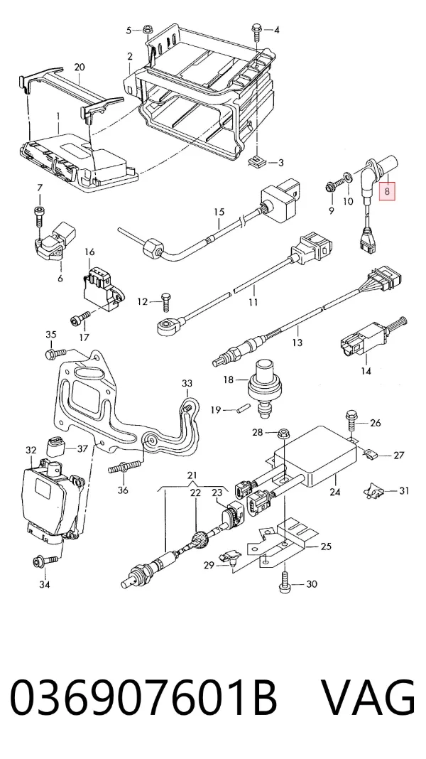 Sensor de posição da árvore distribuidora 036907601B VAG