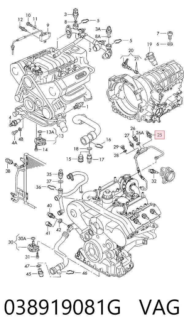 Sensor de pressão de óleo 038919081G VAG