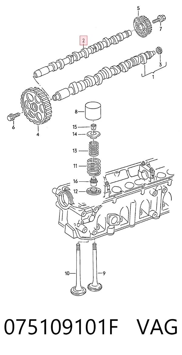 Árvore distribuidora de motor 075109101F VAG