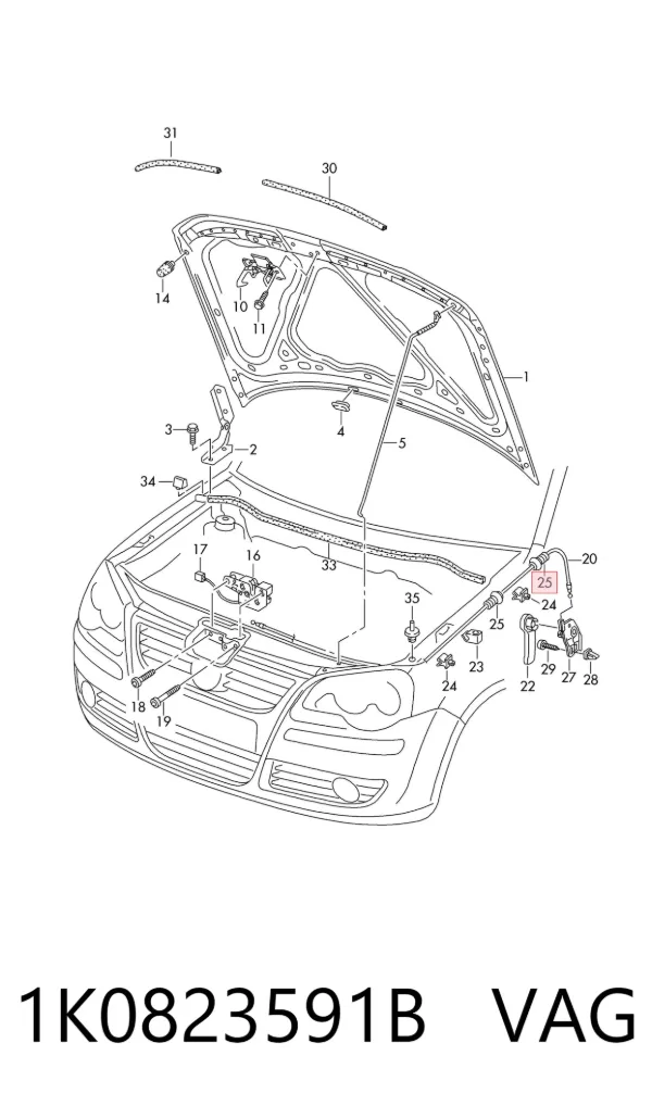  1K0823591B VAG