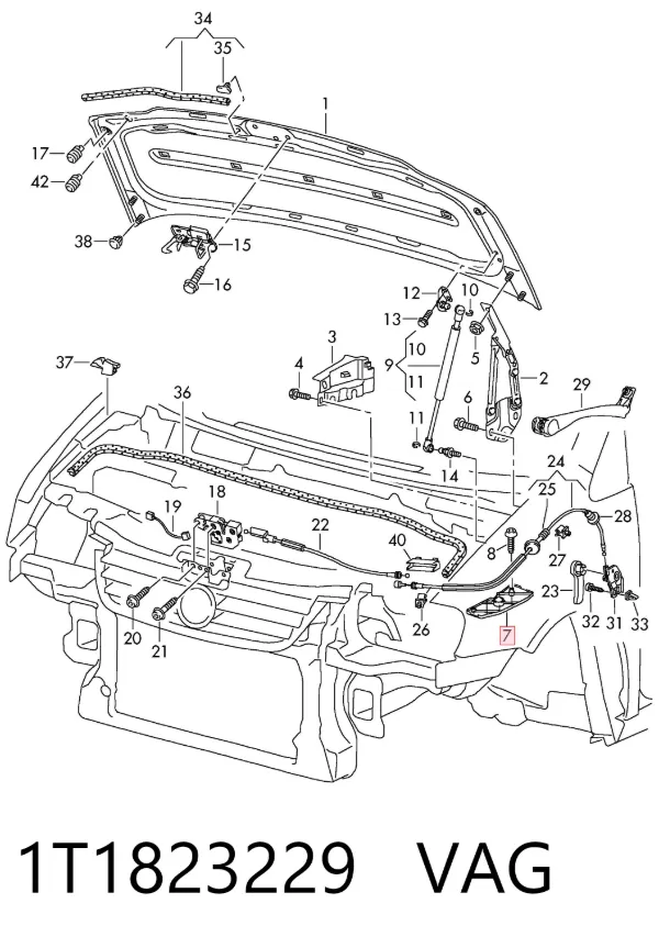  1T1823229 VAG