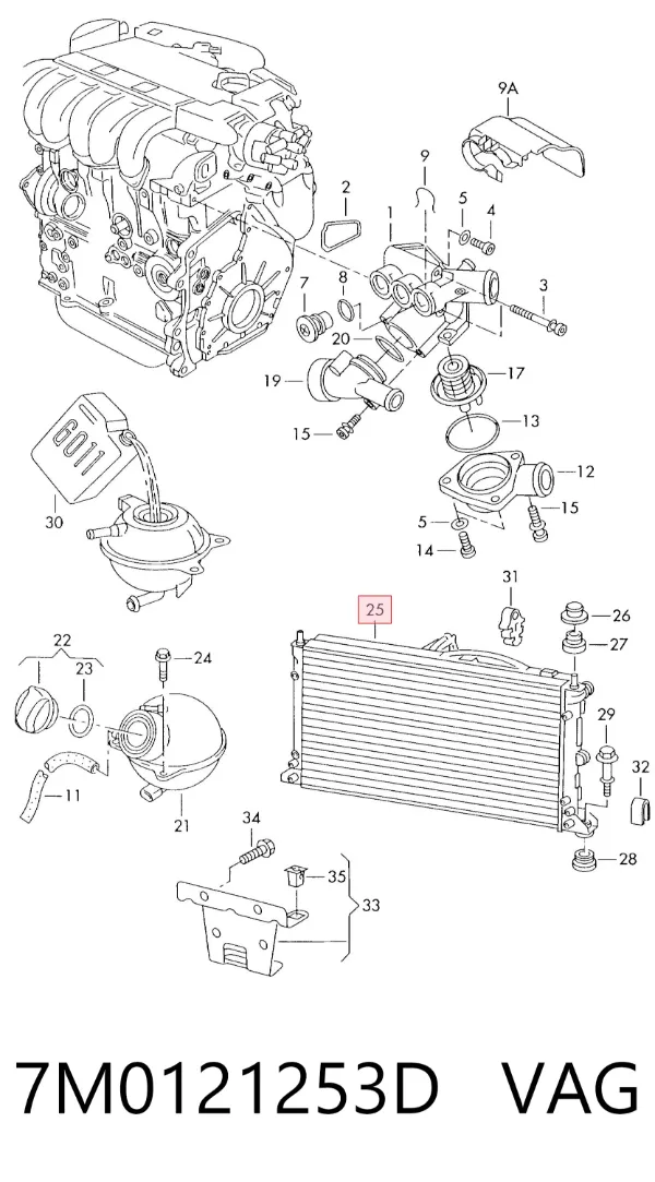 Radiador de esfriamento de motor 7M0121253D VAG